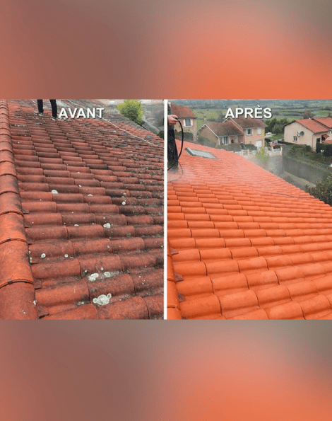 lavage toiture